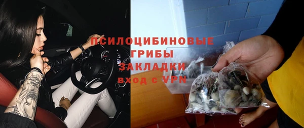 2c-b Богородицк