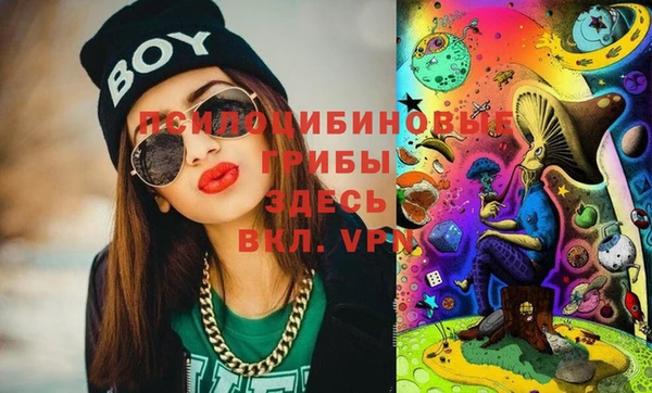 сатива Богданович