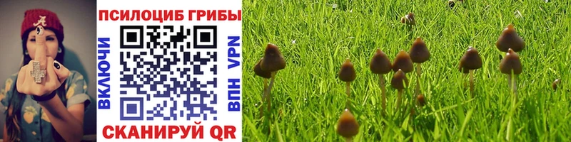 дарнет шоп  Болохово  мега ССЫЛКА  Галлюциногенные грибы Magic Shrooms 